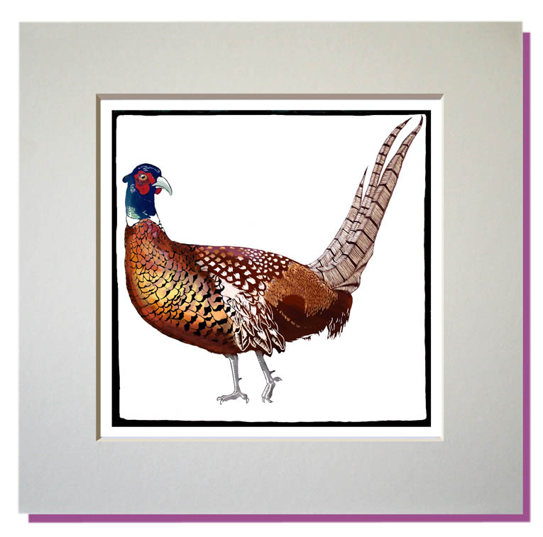 small mounted print pheasant